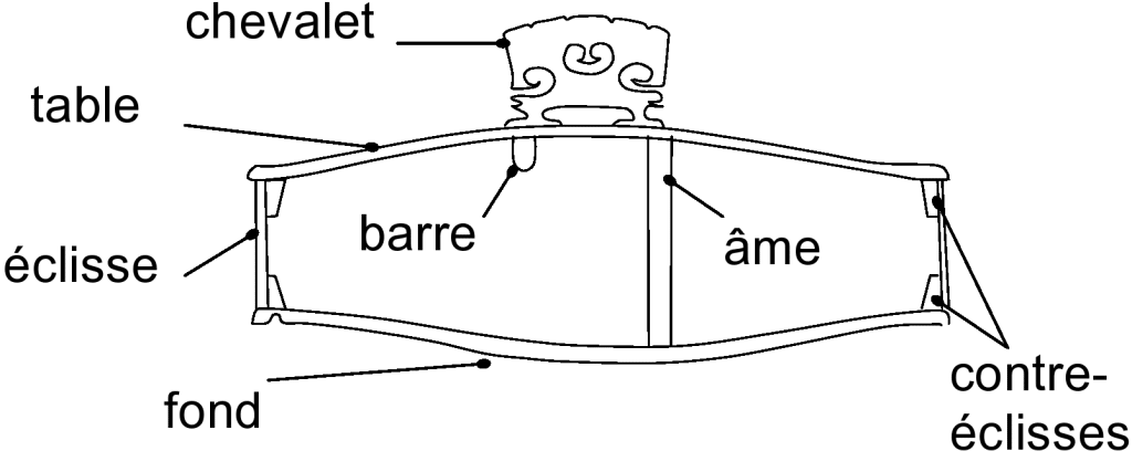 Schéma d'un violon en coupe transversale