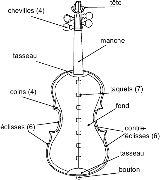 Shéma d'un violon dont la table a été enlevée