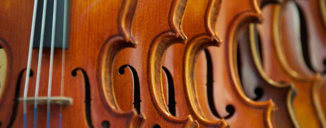 How do you choose your first violin among all the possibilities and existing models?