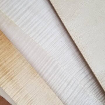 Bois de lutherie : les violons