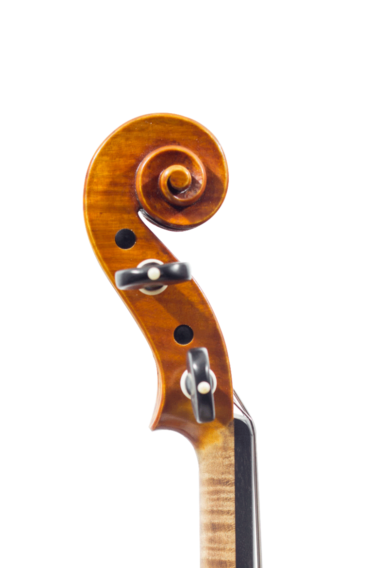 La volute basée librement sur un modèle de Peter Guarneri.