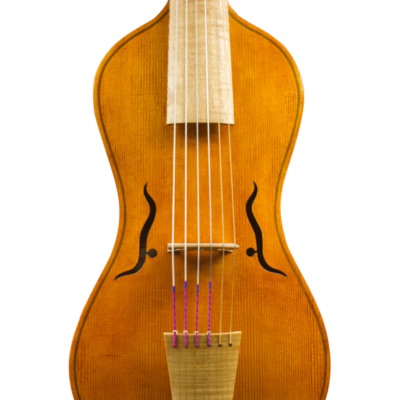 Face de viole d'amour de lutherie, modèle Storioni 2015
