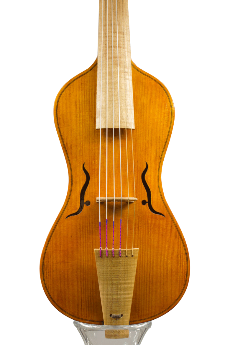 Face de viole d'amour de lutherie, modèle Storioni 2015