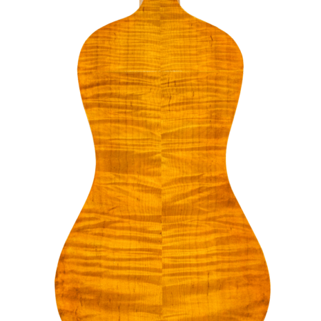 Fond de viole d'amour de lutherie, modèle Storioni 2015