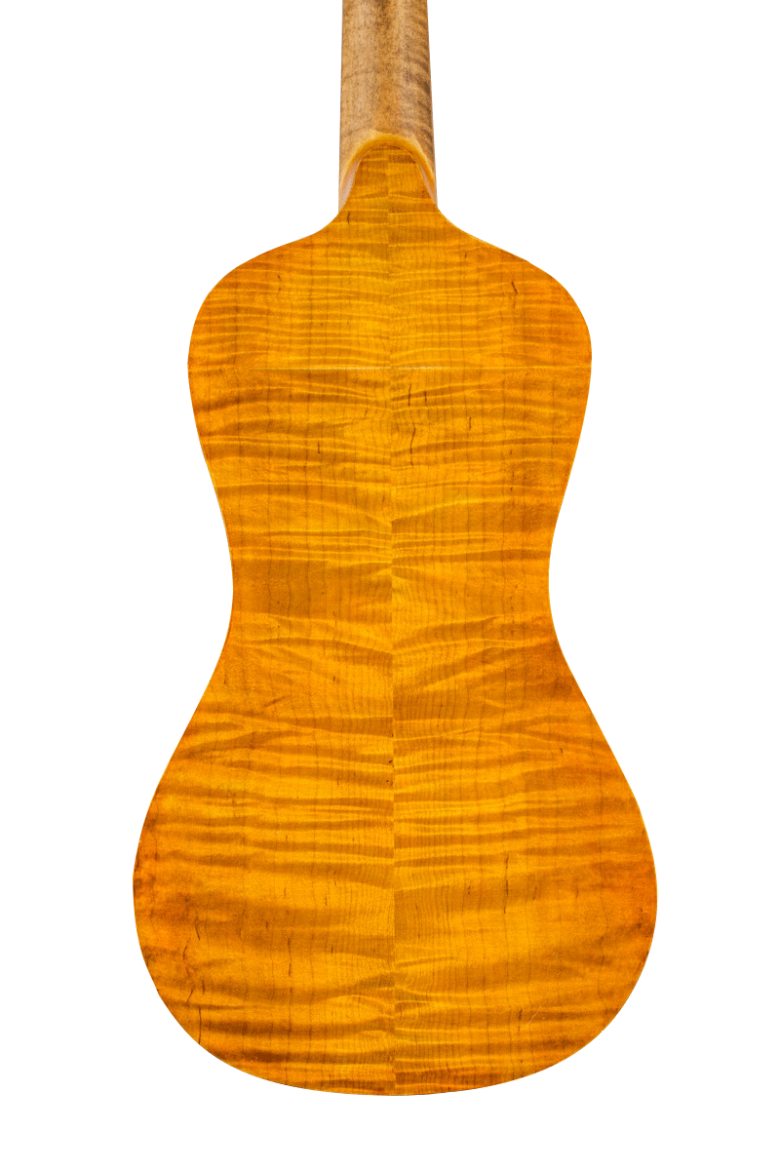 Fond de viole d'amour de lutherie, modèle Storioni 2015