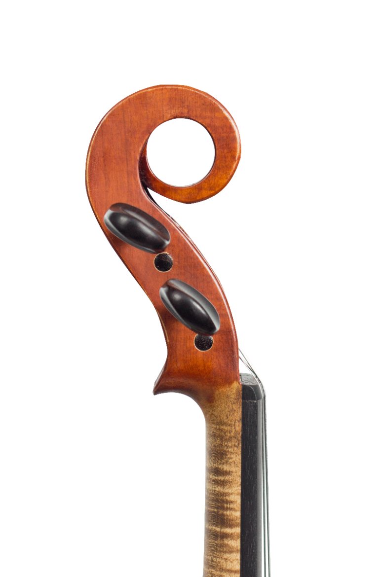 Volute du prototype violon 1/2 Paréidolie