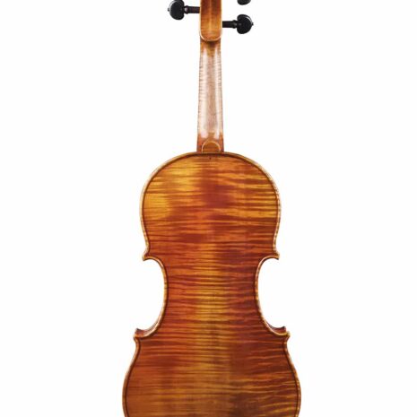 Violon Passion Tradition Maître dos