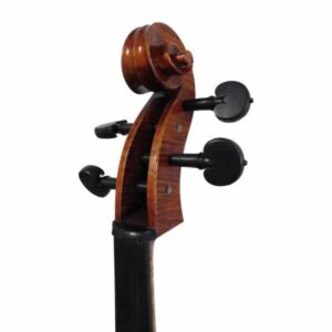 Violoncelle passion tradition maître