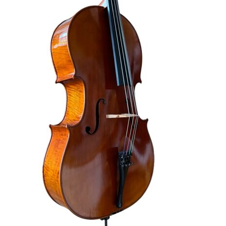 Violoncelle Passion-Tradition Maître - Eclisses