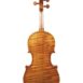 violon baroque passion tradition maître fond