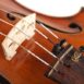 panachage warchal avantgarde pour violon presentation tendeurs et chevalet alternatif
