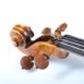 panachage warchal russian style pour violon chevillier