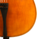 violoncelle kaiming guan europe cordier