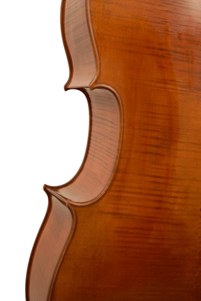 violoncelle kaiming guan europe eclisses