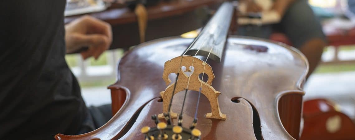 L'entretien d'un violoncelle en Guadeloupe