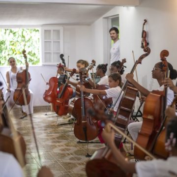 Luthier en Guadeloupe