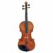 violon de benoît charon
