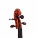 violon de benoît charon