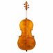Violoncelle Baroque Passion Tradition Mirecourt Dos