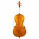 Violoncelle Baroque Passion Tradition Mirecourt Dos