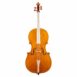 Violoncelle Baroque Passion Tradition Mirecourt Face