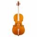 Violoncelle Baroque Passion Tradition Mirecourt Face