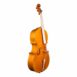 Violoncelle Baroque Passion Tradition Mirecourt 34