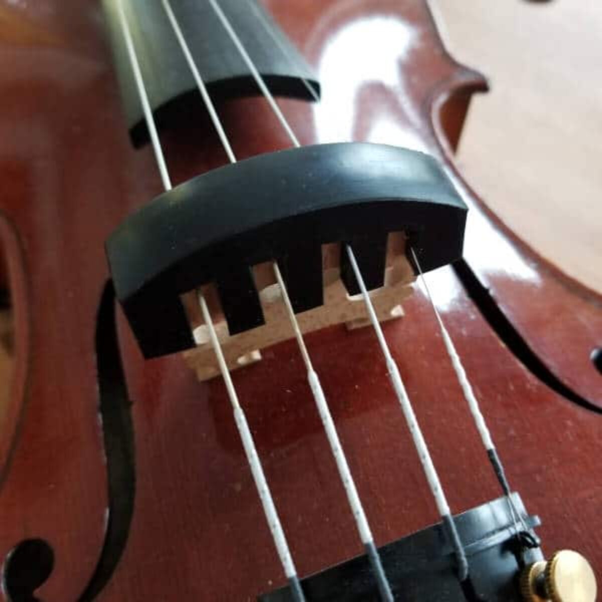 Akord Mu-5 en caoutchouc 4/4 Practise Sourdine pour violon   Noir