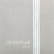 Pirastro Edition pour violoncelle - face