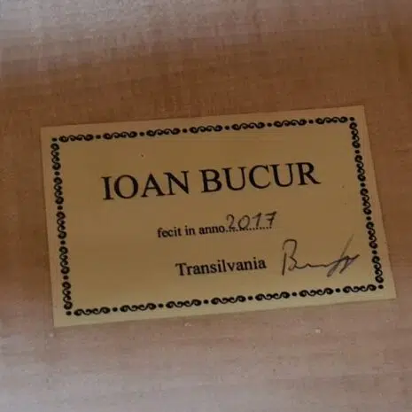 Contrebasse cinq cordes Ioan BUCUR étiquette