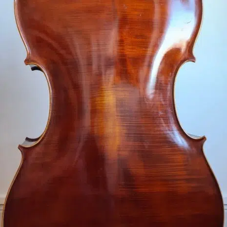 Contrebasse cinq cordes Ioan BUCUR fond