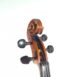 alto chinois 40,6cm-volute-34