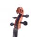 alto-passion-tradition-maitre-396-volute-34