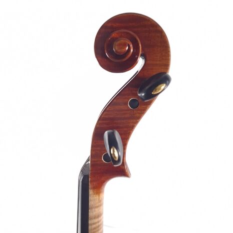 alto-passion-tradition-maitre-396-volute