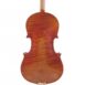 alto-passion-tradition-maitre-396-volute-fond
