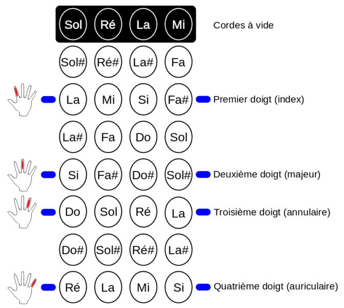 Les notes du violon doigté