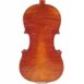 Violon Alexandre LEFRANCOIS 4/4 - fond
