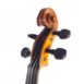 violon-allemand-vintage-44-volute-34