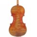 Violon de William Desquiens 4/4 - 2018 - Fond