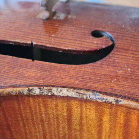 Dégâts sans Protection de "C" pour violon