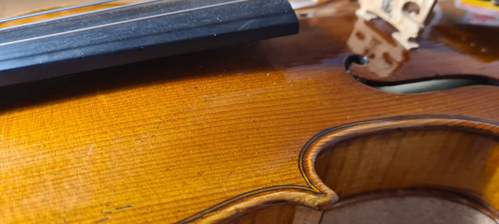 Une assurance pour violons & archets couvre aussi bien les instruments anciens que modernes.