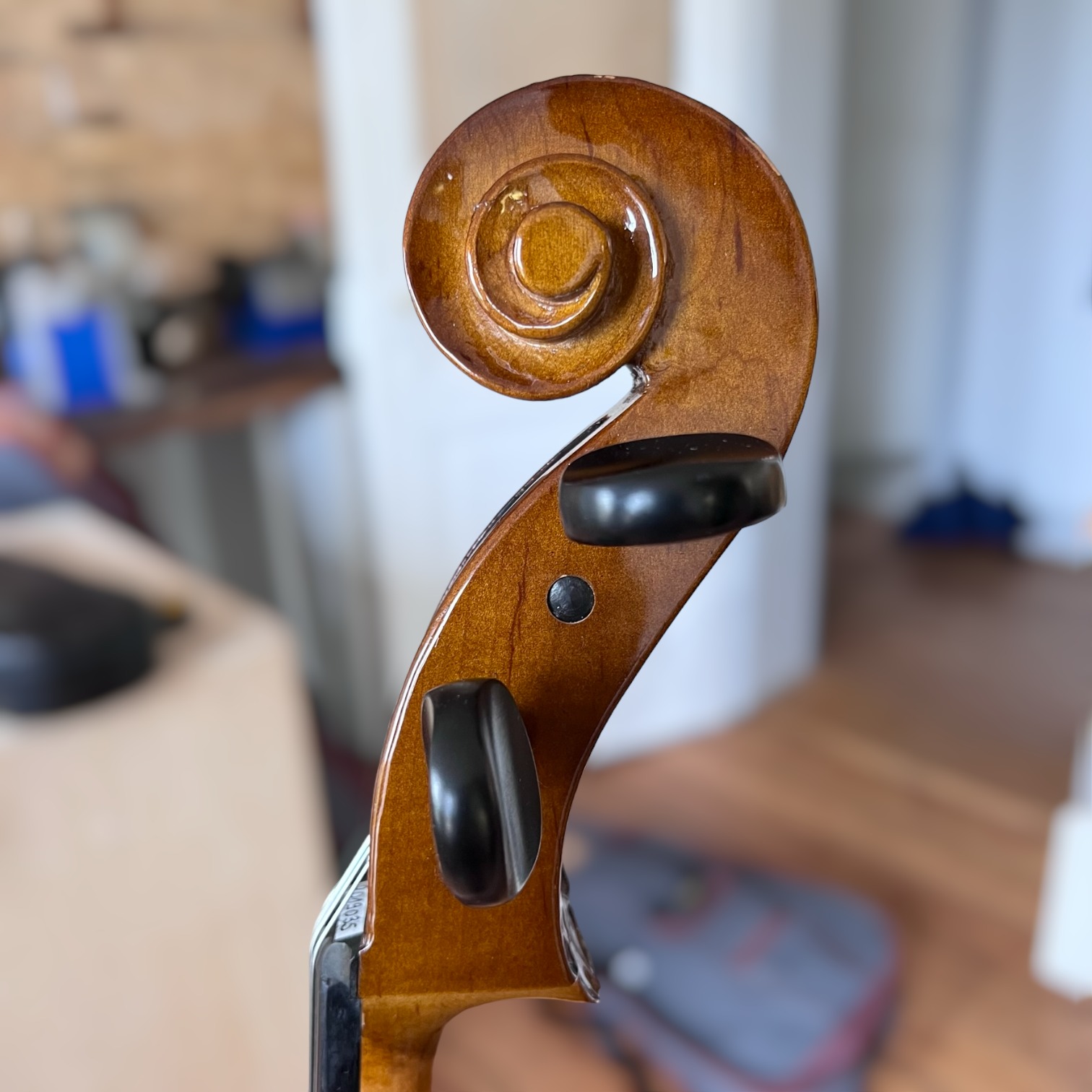 5 questions pour débuter le violoncelle - Apprendre le violoncelle