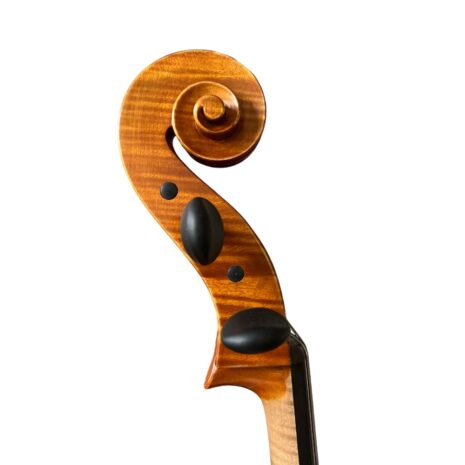 Violoncelle Carpatian 4/4 - Volute