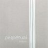 pirastro-perpetual-edition-pour-violoncelle-face.jpg