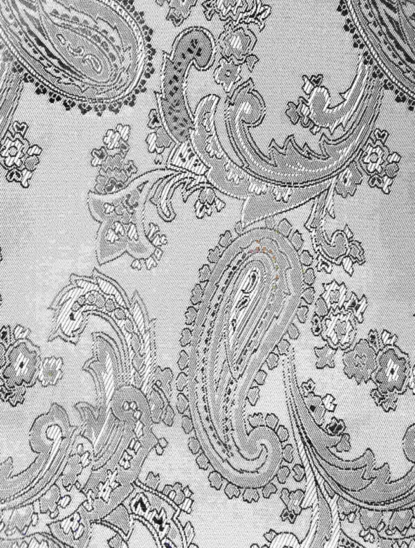violincocoon-paisley-motif.jpg