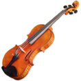 violon-gaucher-passion-tradition-maitre.jpg