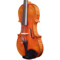 violon-gaucher-passion-tradition-maitre-trois-quart.jpg