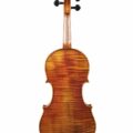 violon-passion-tradition-maitre-dos.jpg