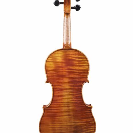 violon-passion-tradition-maitre-dos.jpg violon-passion-tradition-maitre-dos.jpg