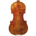 violon-passion-tradition-maitre-dos-carre.jpg